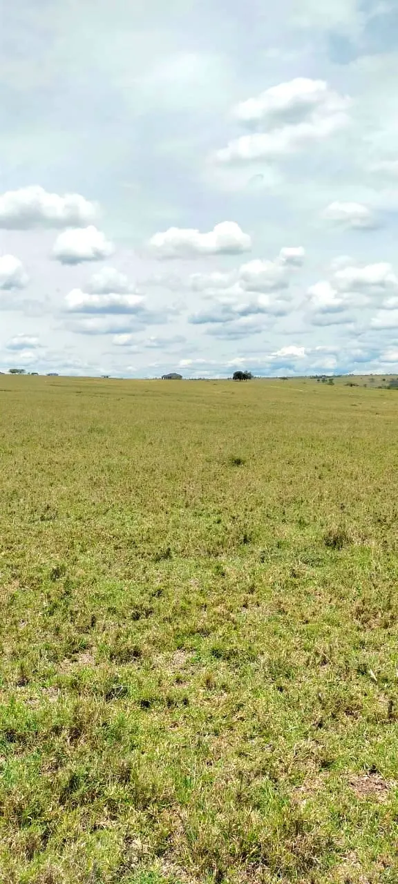 70 Acres in Kitengela, Acacia